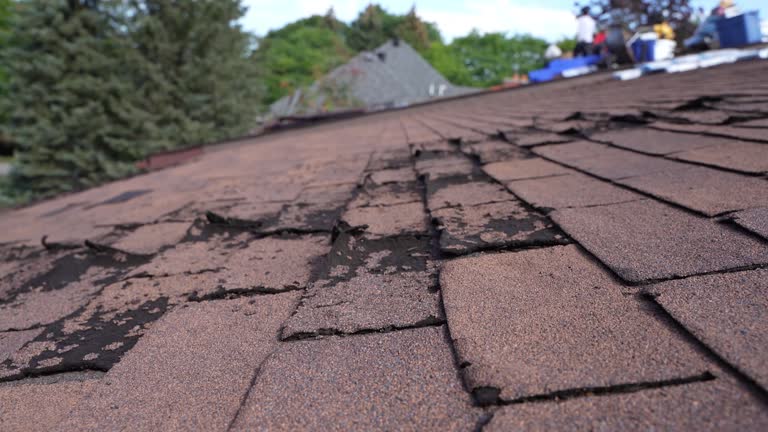 Best Emergency Roof Repair Services  in Oak Hill, OH